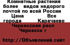 Комнатные растения более200видов недорого почтой по всей России › Цена ­ 100-500 - Все города  »    . Карачаево-Черкесская респ.,Черкесск г.